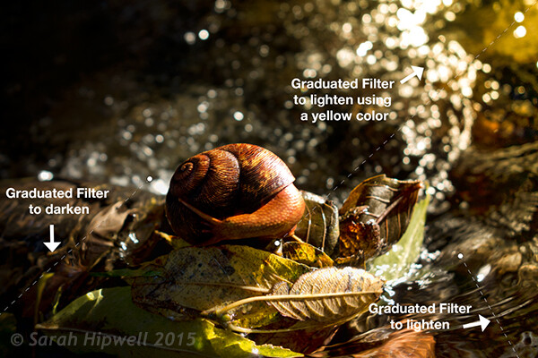 4 Lighting Effects You Can Create in Photoshop 5 Snail with Graduated Filter effects