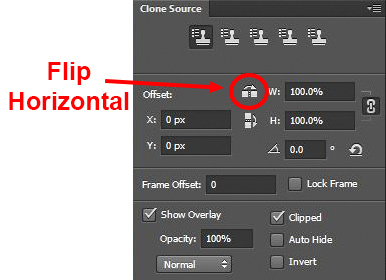 Clone Stamp Tool - Flip Horizontal setting