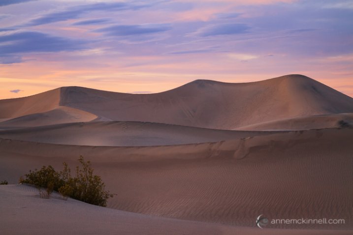 Mesquite Sand Dunes by Anne McKinnell