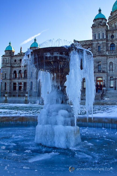Frozen Fountain by Anne McKinnell