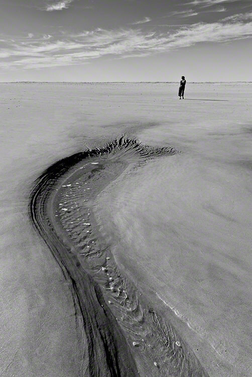 Composition and Learning to See 2 “Beware The Serpent” – an example of being able to quickly and accurately see the whole frame and capture. The illusion of a “sea serpent “reaching for a female in background lasted but a moment.