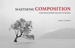 Mastering Composition ebook