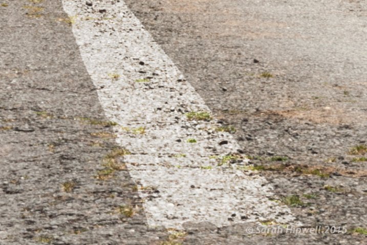 Zoomed-in-road-marking