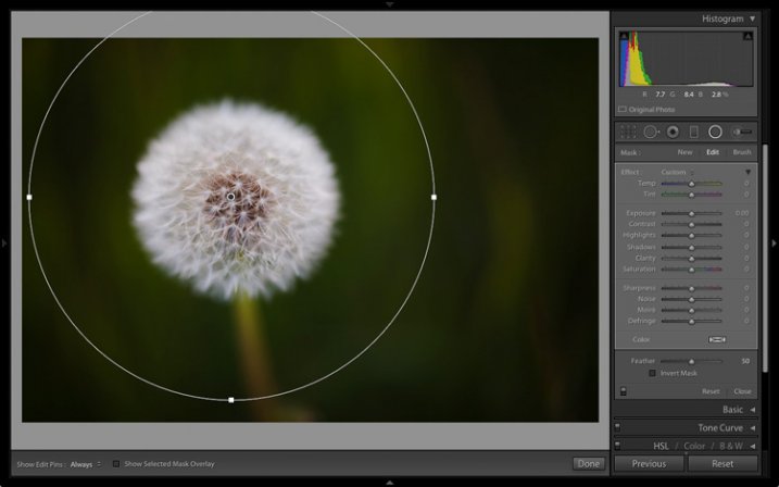 Lightroom 6 graduated radial filter adjustments