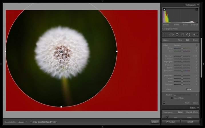 Lightroom 6 graduated radial filter adjustments