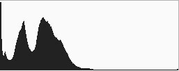 Histogram for the final winning. Notice how the histogram stretches back almost into the mid-tones, with a little info clear back into the highlights which is the stars and the rim lighting.