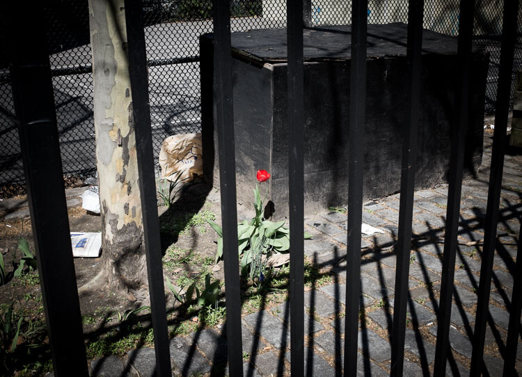 Red Flower, East Village, NYC.