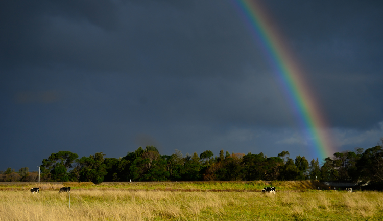 Get out there and start having some photographic fun!