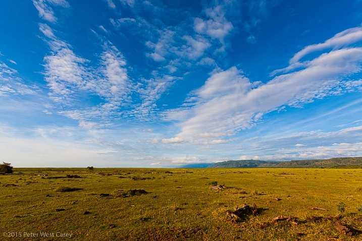 The wide open spaces of Serengeti National Park beckon, Tanzania, Africa