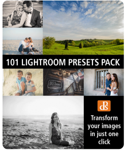 http://digital-photography-school.com/wp-content/uploads/2015/07/presets_cover-248x300.png