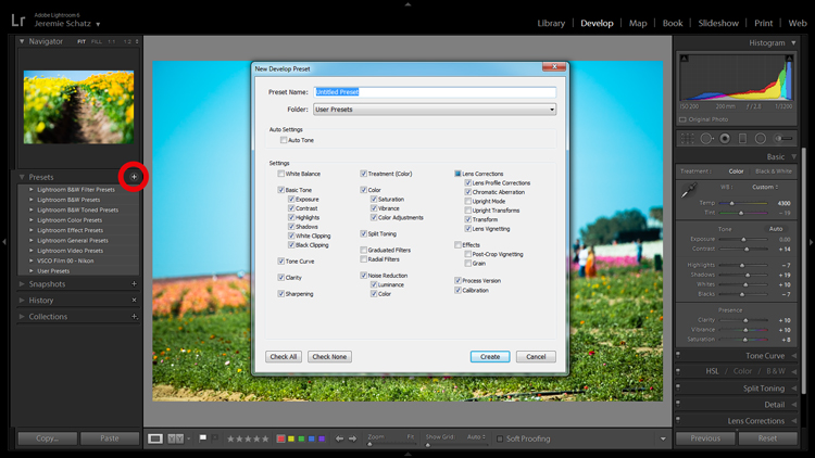 Screenshot of develop presets dialog box