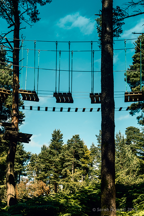 Activity-park-in-forest