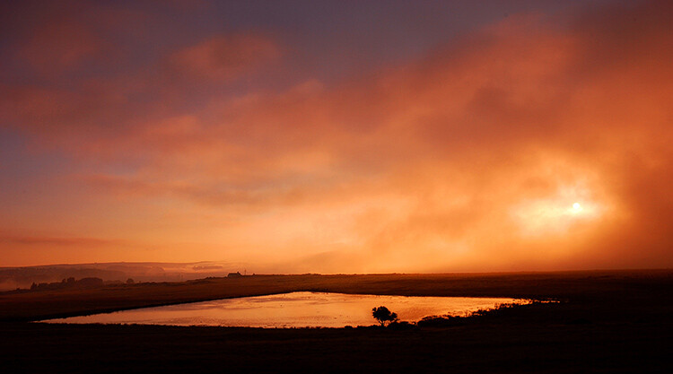 Use white balance creatively, this image was shot using shade white balance
