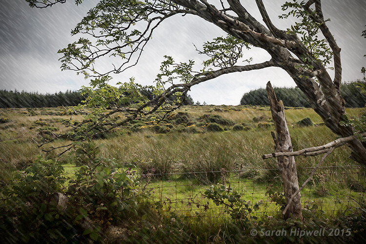 3 Fun Ways to Enhance Your Landscape Images in Photoshop 12 Rain-in-field