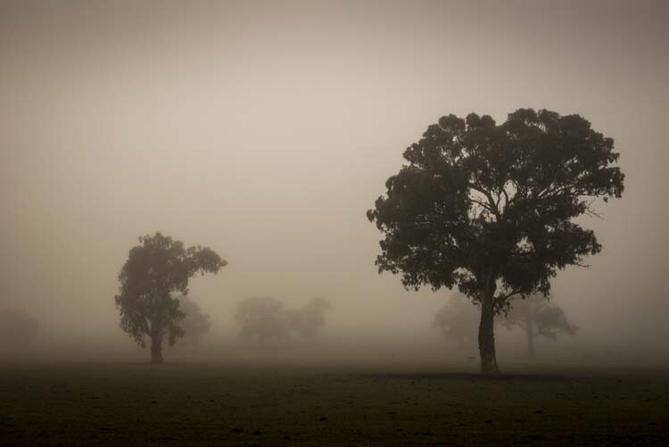 cole-landscape-road-side-photography-0001