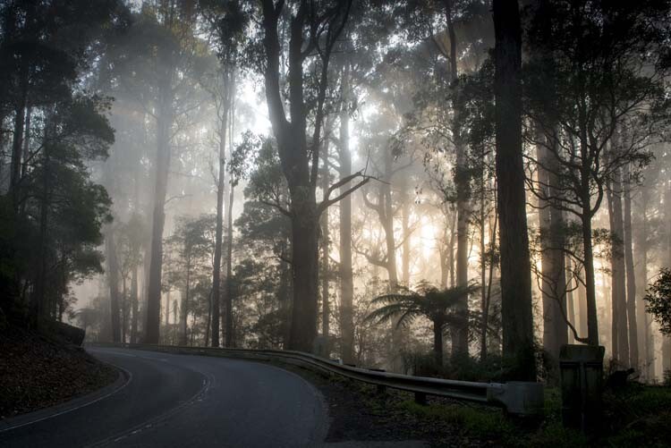 cole-landscape-road-side-photography-0002