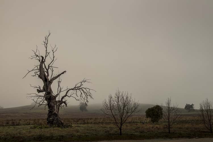 cole-landscape-road-side-photography-0002