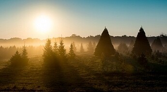 five-lightroom-tips-for-beginners-sunrise