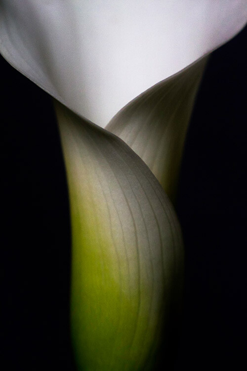 How to Improve Your Photography Without Buying New Gear 4 Purchasing things to photograph will help you build a portfolio which is far more important in the long run.