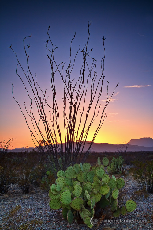 Big Bend National Park , Texas, by Anne McKinnell