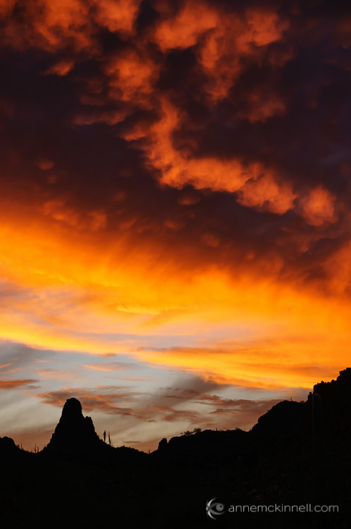 Ajo Sunset by Anne McKinnell