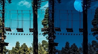 title-day-moonlight