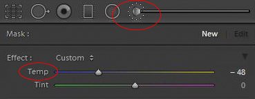 Adjustment brush and tint controls in Basic panel of Lightroom's develop module