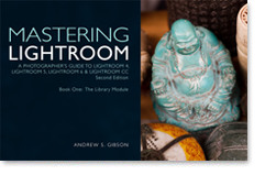 Mastering Lightroom ebook