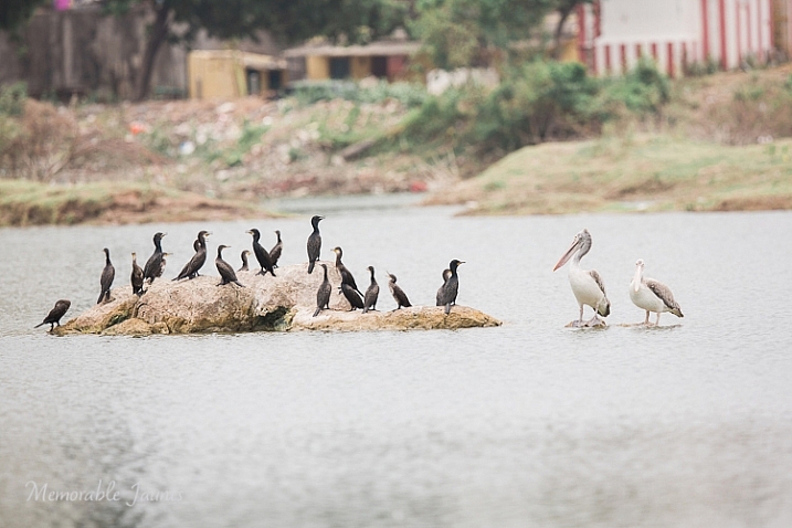 Memorable Jaunts Finding Balance as a photographer Article for DPS-1