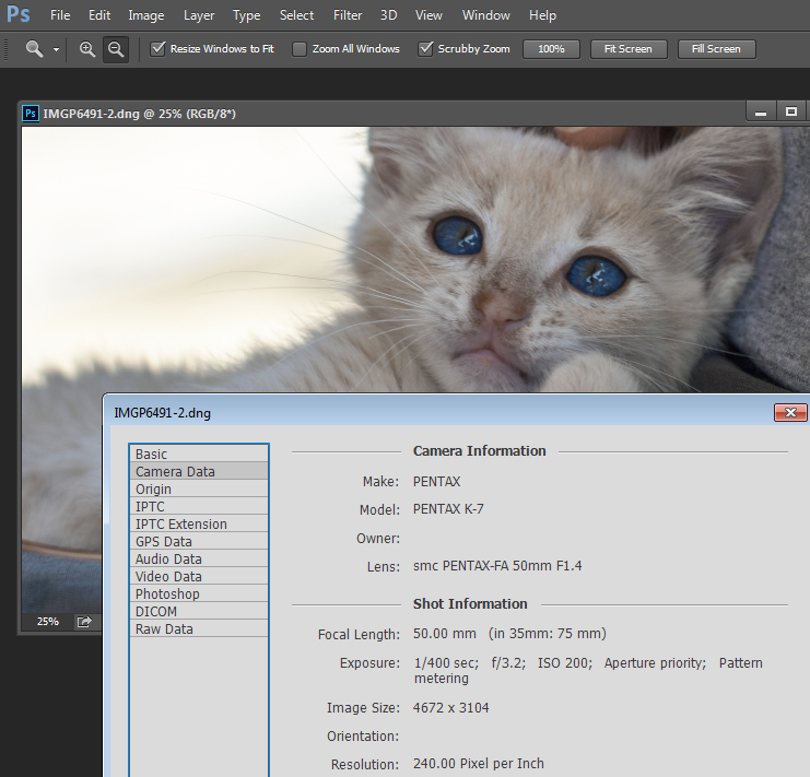 Image Size and Resolution Explained for Print and Onscreen