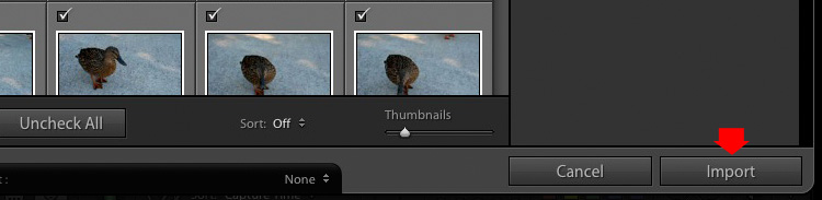 Importing photos into Lightroom