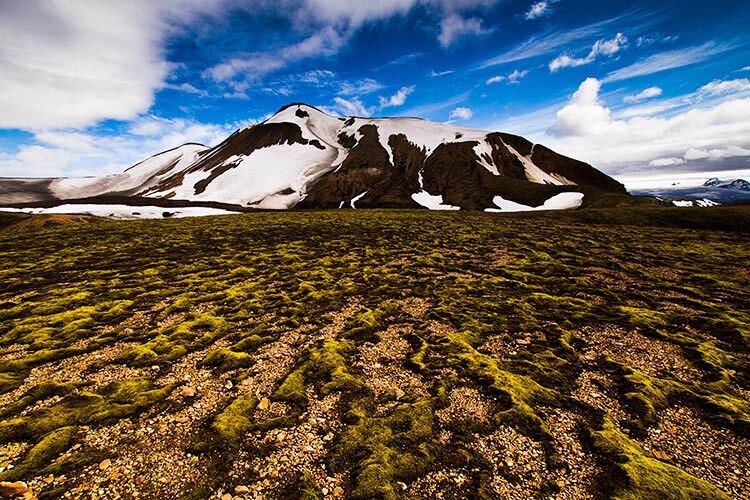 Responsibilities of Landscape Photographers 2 Moss in Iceland takes decades to grow but moments to permanently destroy.