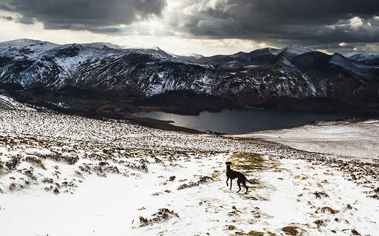 Responsibilities of Landscape Photographers 5 Sheep worrying causes a significant loss of livestock annually and it can cause farmers to revoke access to their land.
