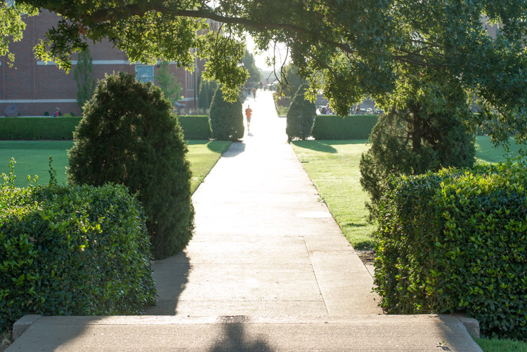 what-is-exposure-shadows