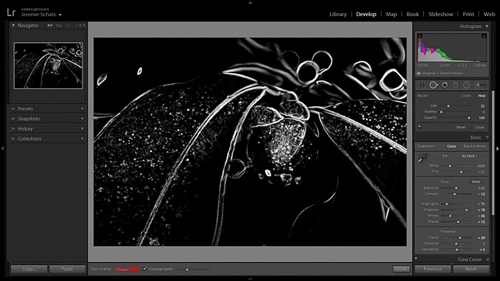 Lightroom's visualize spots tool