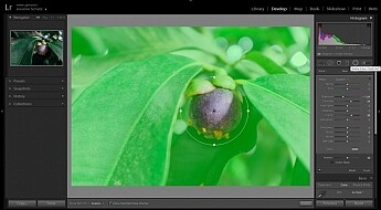 Lightroom's radial filter