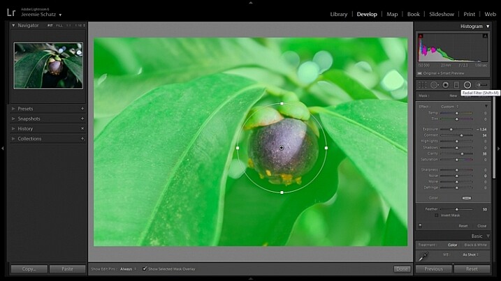 Lightroom's radial filter