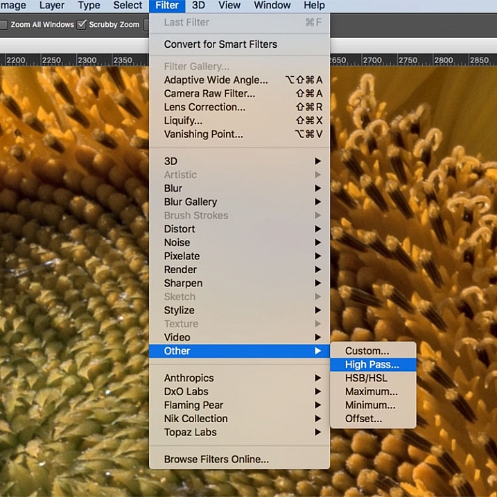 Photoshop selection tools basics | Adobe Photoshop tutorials