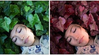 Picture01-before-after.jpg
