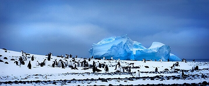 8 Common Landscape Photography Mistakes 1 Penguins and iceberg in Antarctica.