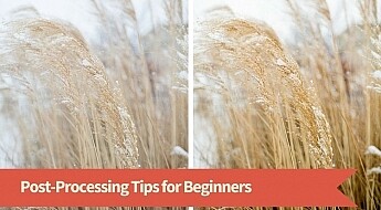 processing tips