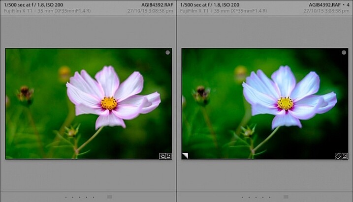 Virtual Copies in Lightroom