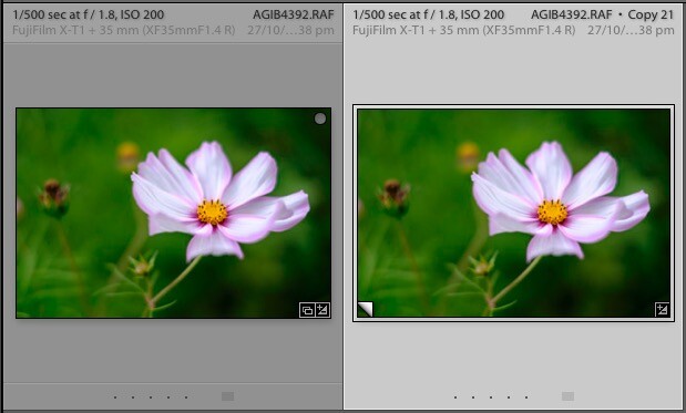 Virtual Copies in Lightroom