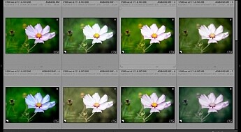 Virtual Copies in Lightroom