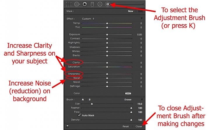 Using Lightroom's Adjustment Brush to Sharpen and Add Noise Reduction