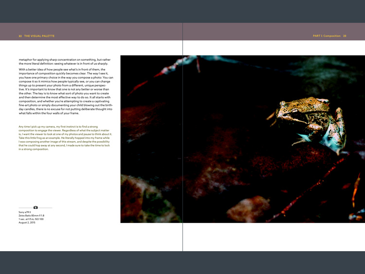 This is a screenshot from Goodreader, which can display two pages together, as the designer intended them to be seen. Great – now you can see the entire photo. But that's not much use when the photo is too dark to see properly.