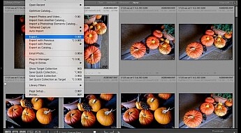 How to export photos from Lightroom