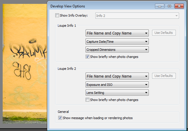 Default settings for the Loupe Info Overlay
