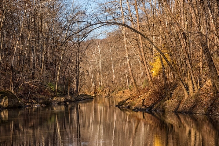 On a fall Photowalk along a river was a great locations for reflections