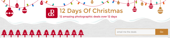 12 deals christmas dps